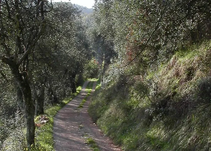 ヴィラ Farfalla & - The World Unique With An Openable Roof ルッカ